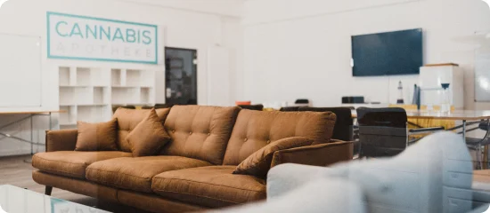 Cannabis apotheke office