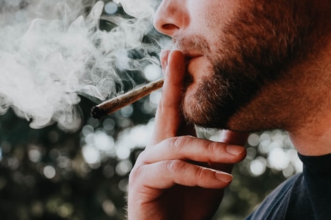 https://unsplash.com/photos/zocDX97pH6k