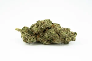 Produkte - 420 Evolution 27/1 CA ICC