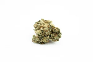 Produkte - 29/1 Amici SB