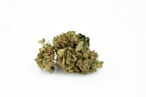 Produkte - Aphria forte 9