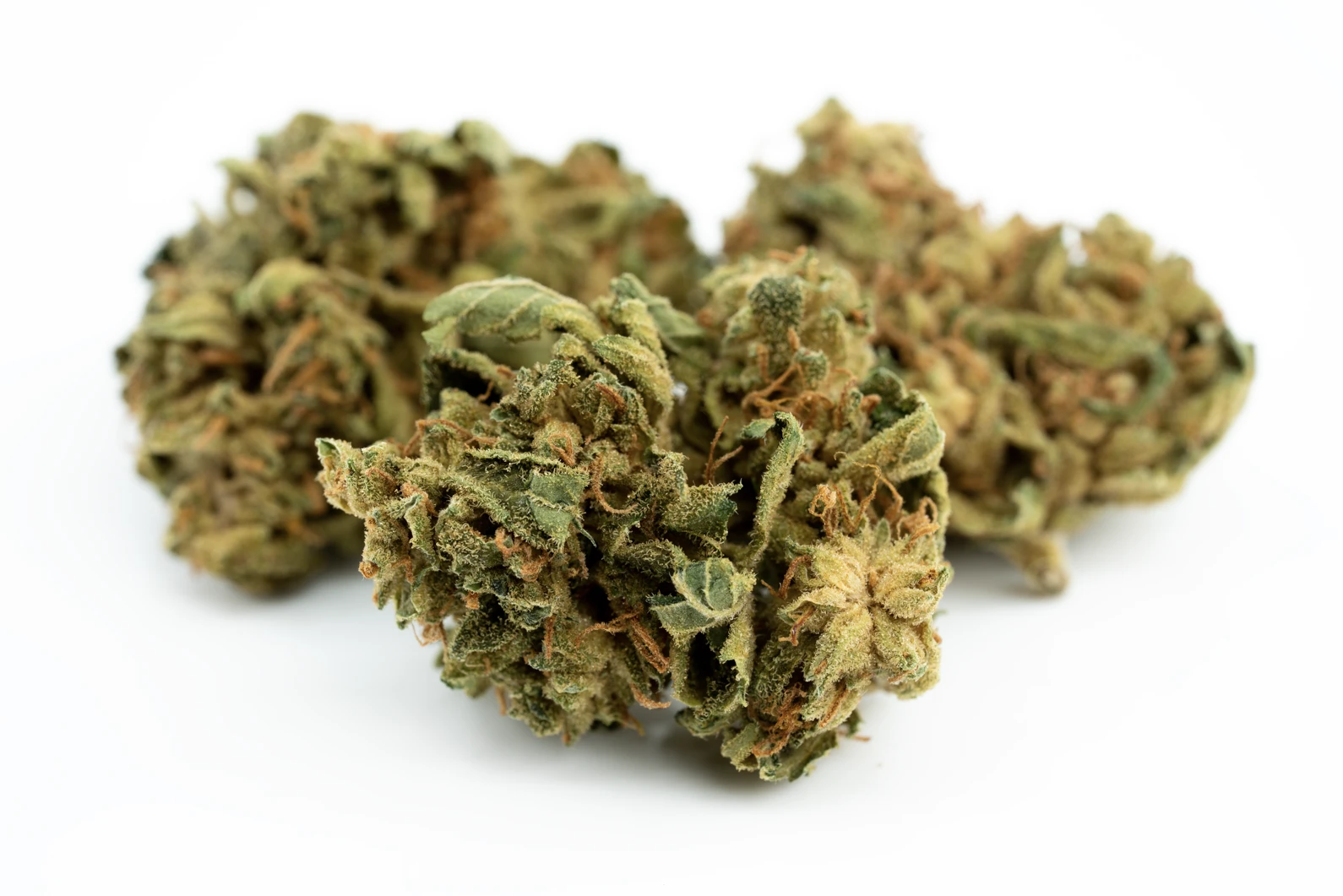 aphria-forte-9-masse