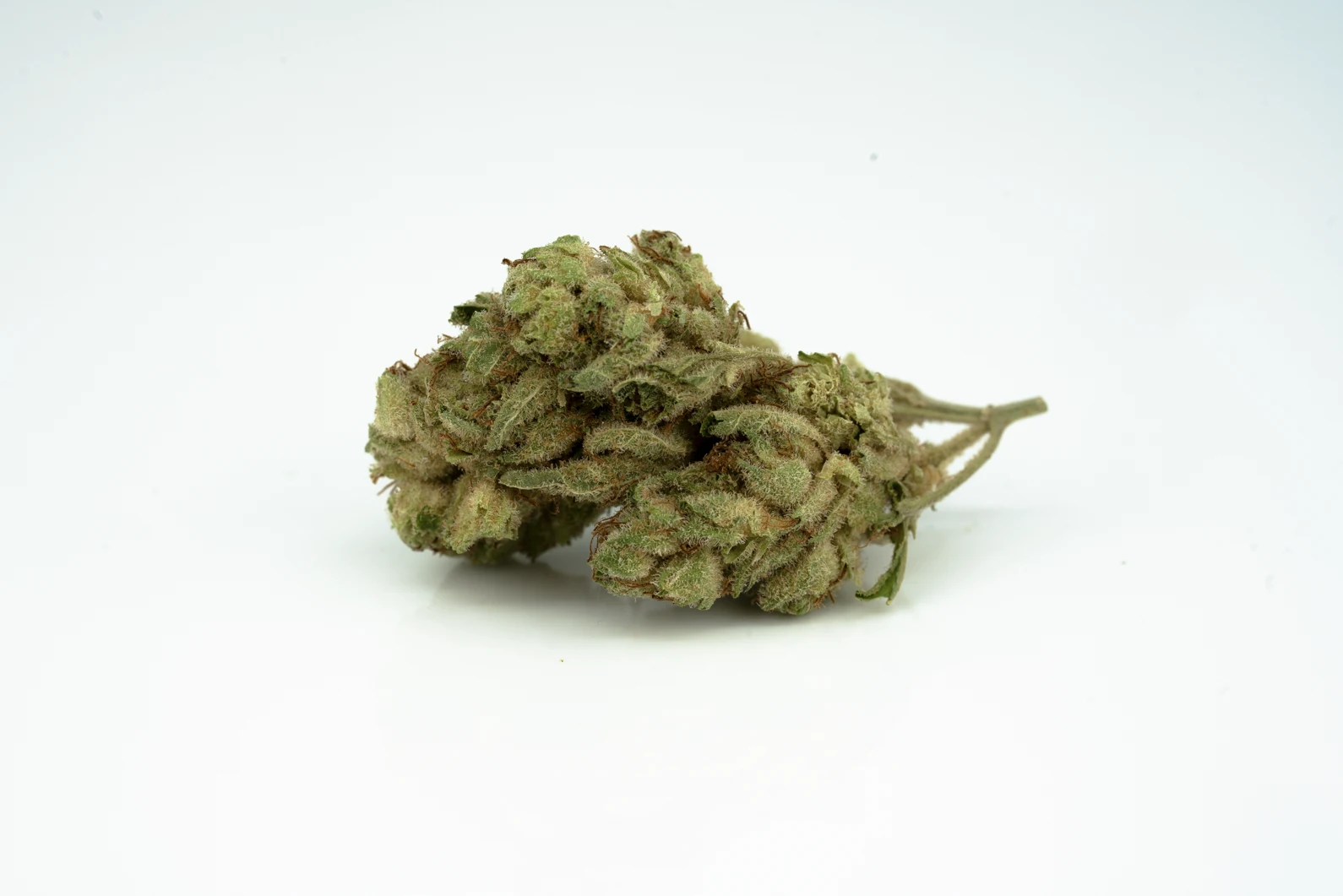 apocan-natural-gg-22-1