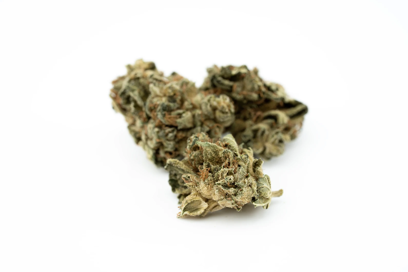 bavaria-weed-pt-dab-18-1-mango-masse