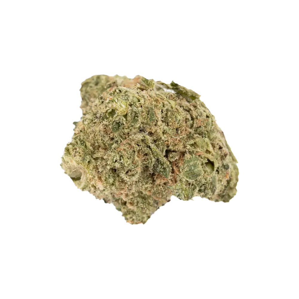 Produkte - Nimbus EASY 22/1