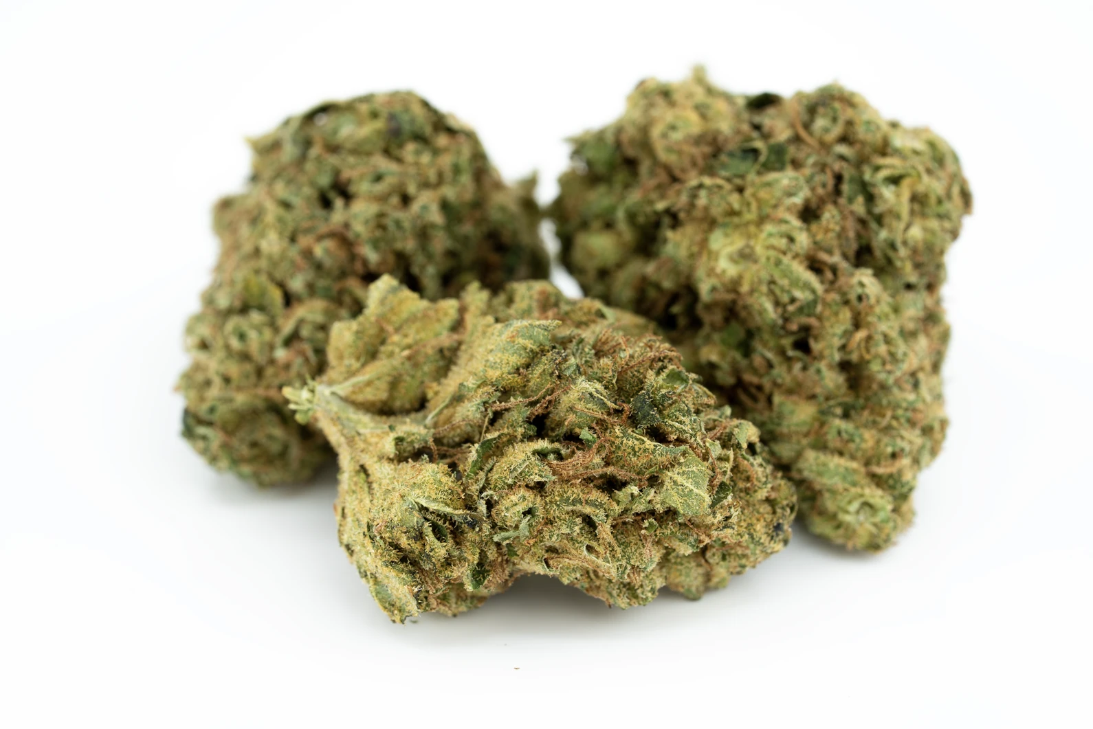 beacon-indica-thc-20-masse
