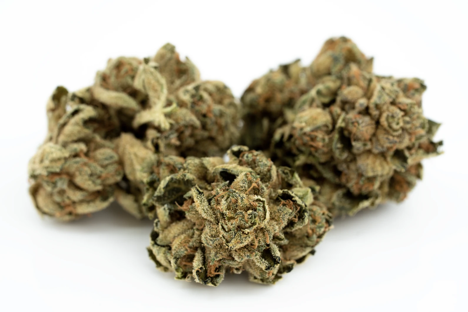 cannabis-flos-18-1-pt-pink-kush-masse