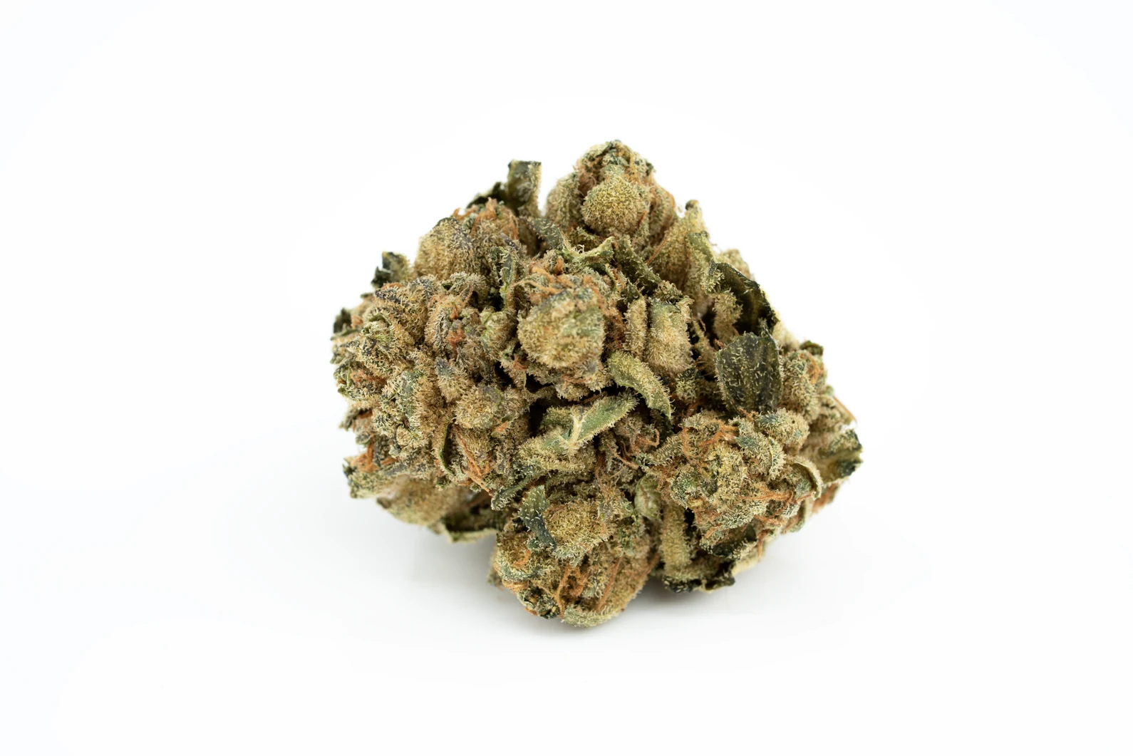 Produkte - Canify 18/1 PT Pink Kush
