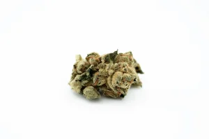 Produkte - Canify Flos 22/1 PT