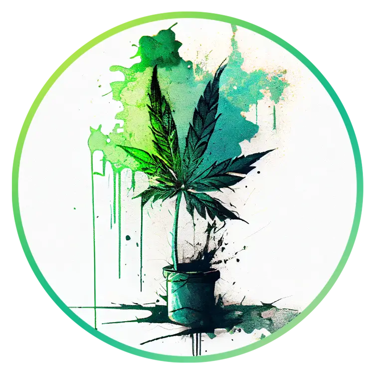 cannabis-strains-kaufen-main-image-cannabis-apotheke