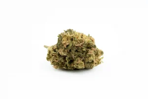 Produkte - CannabiStada 14/1