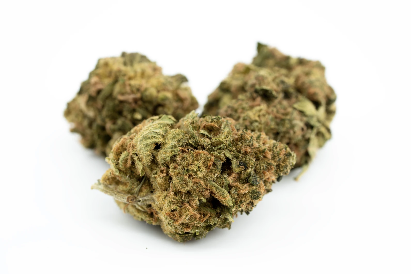 cannabistada-14-1-masse