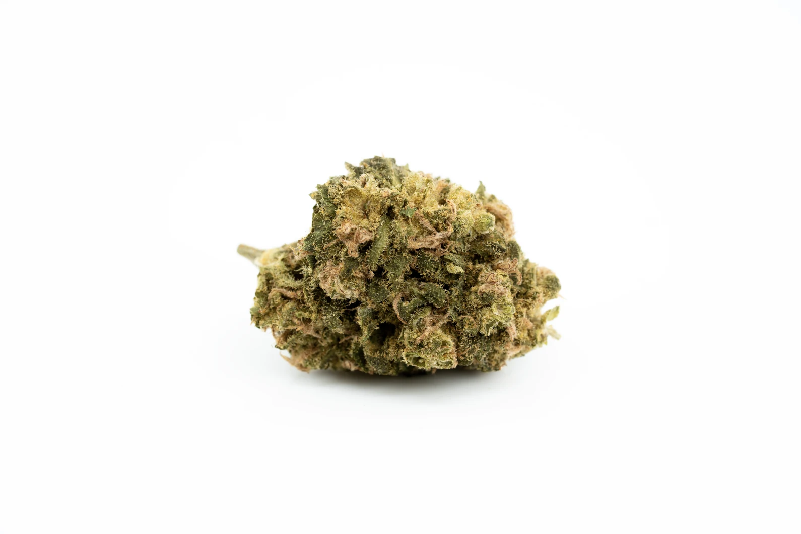 Produkte - CannabiStada 14/1