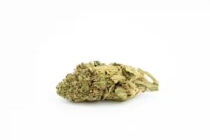 Produkte - CannabiStada 17/1 