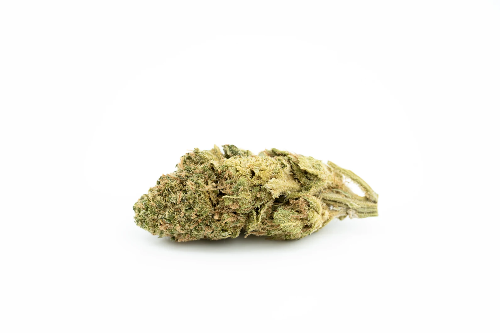 Produkte - CannabiStada 17/1 