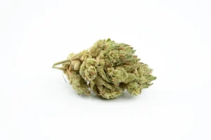 Produkte - CannabiStada 19/1