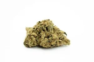 Produkte - CannabiStada 20/1
