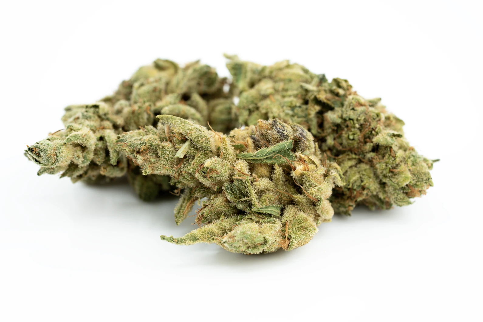 cannabistada-22-1-masse