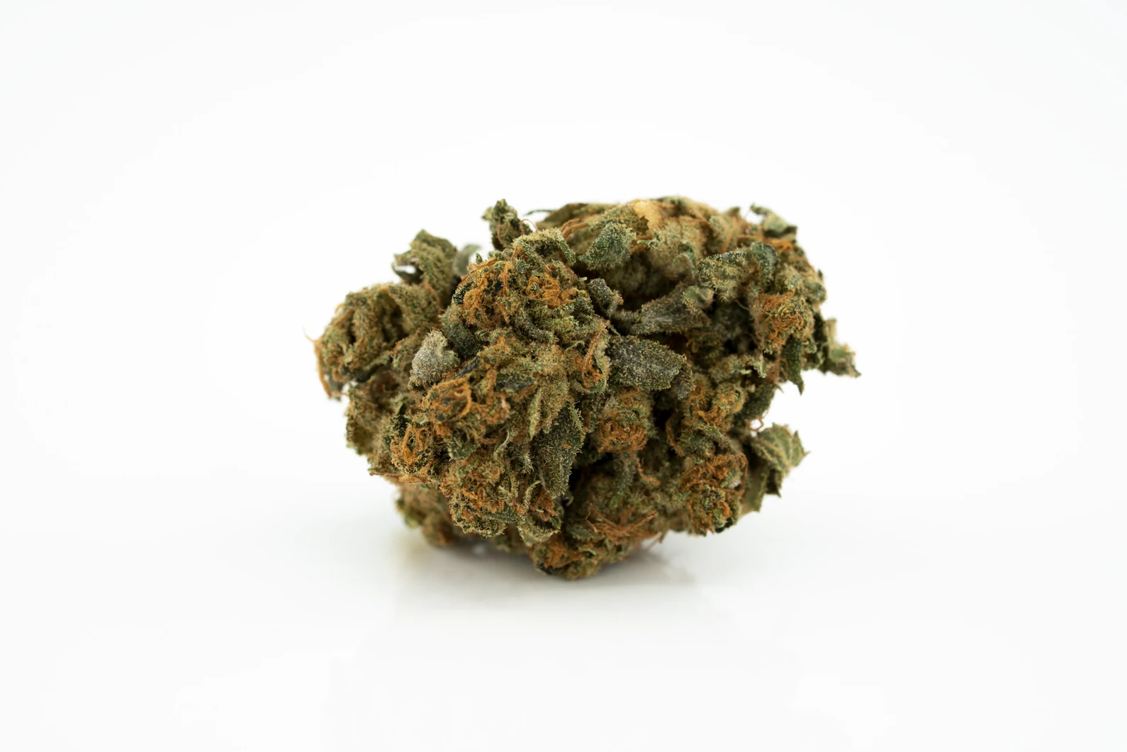 Produkte - Cannamedical Balanced forte MH