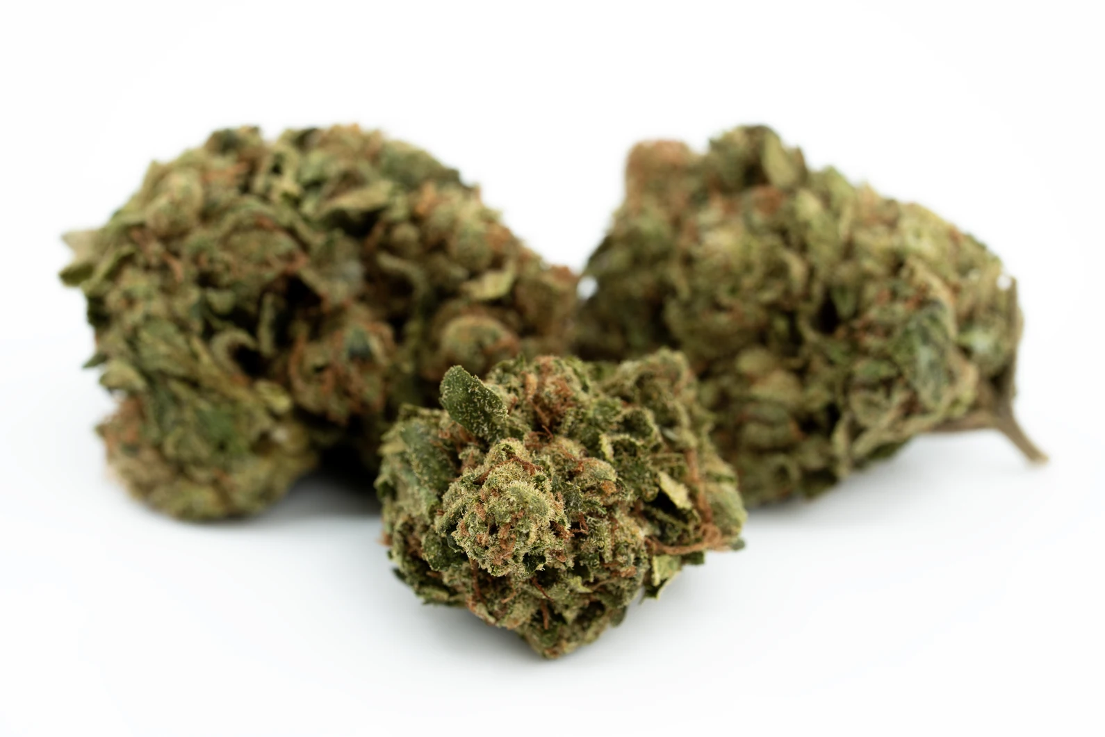 cannamedical-hybrid-forte-ng-masse