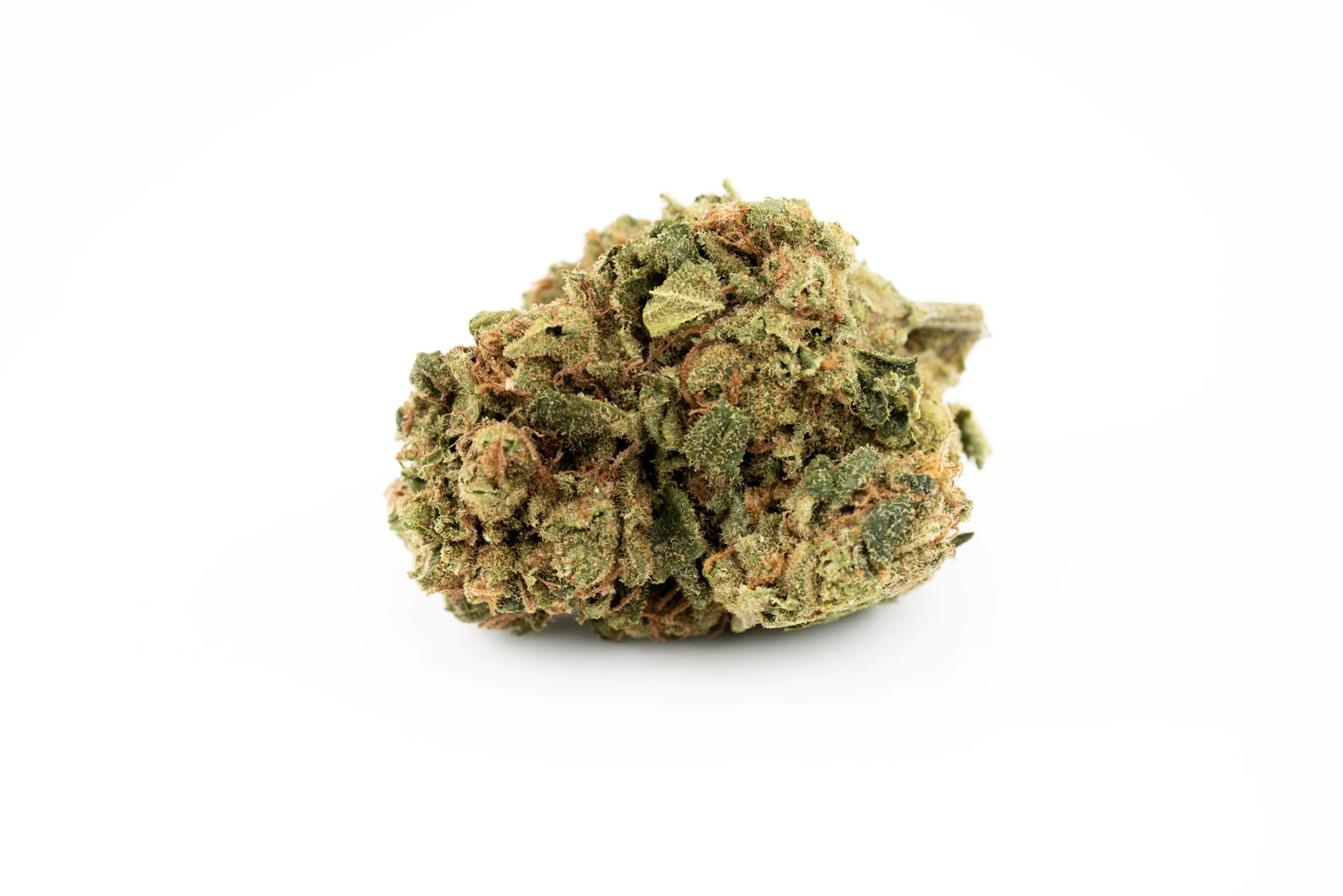Produkte - Cannamedical Hybrid forte NG