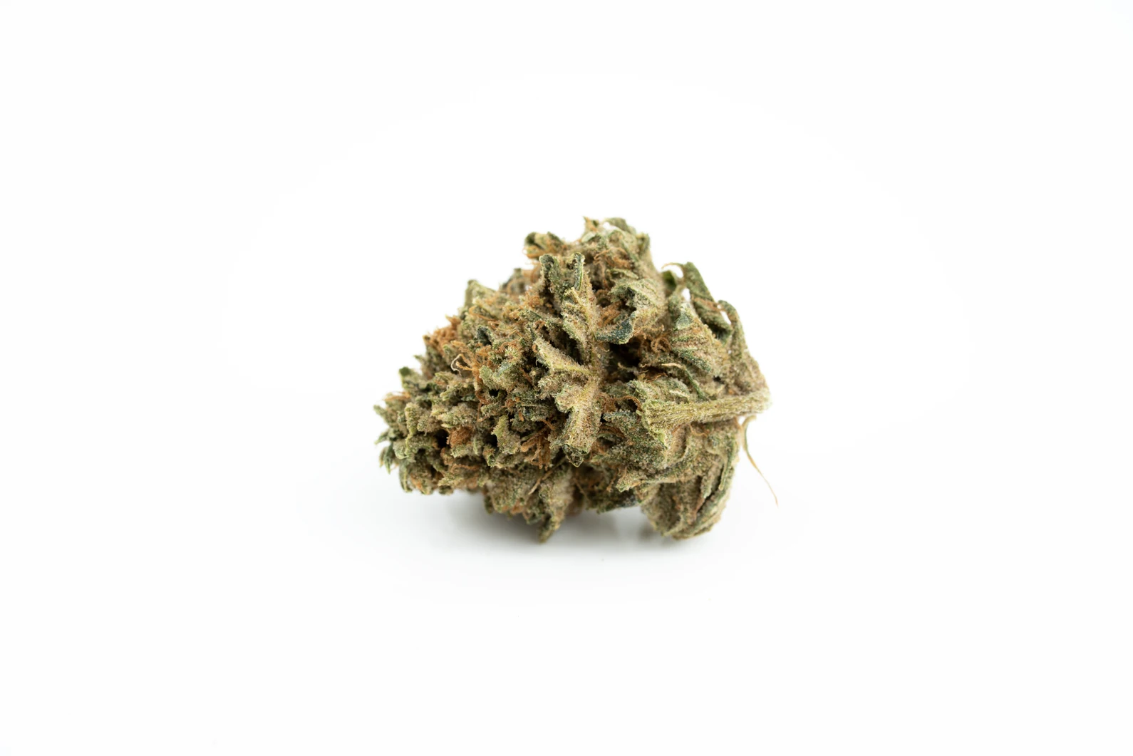 Produkte - Cannamedical Indica Forte MA