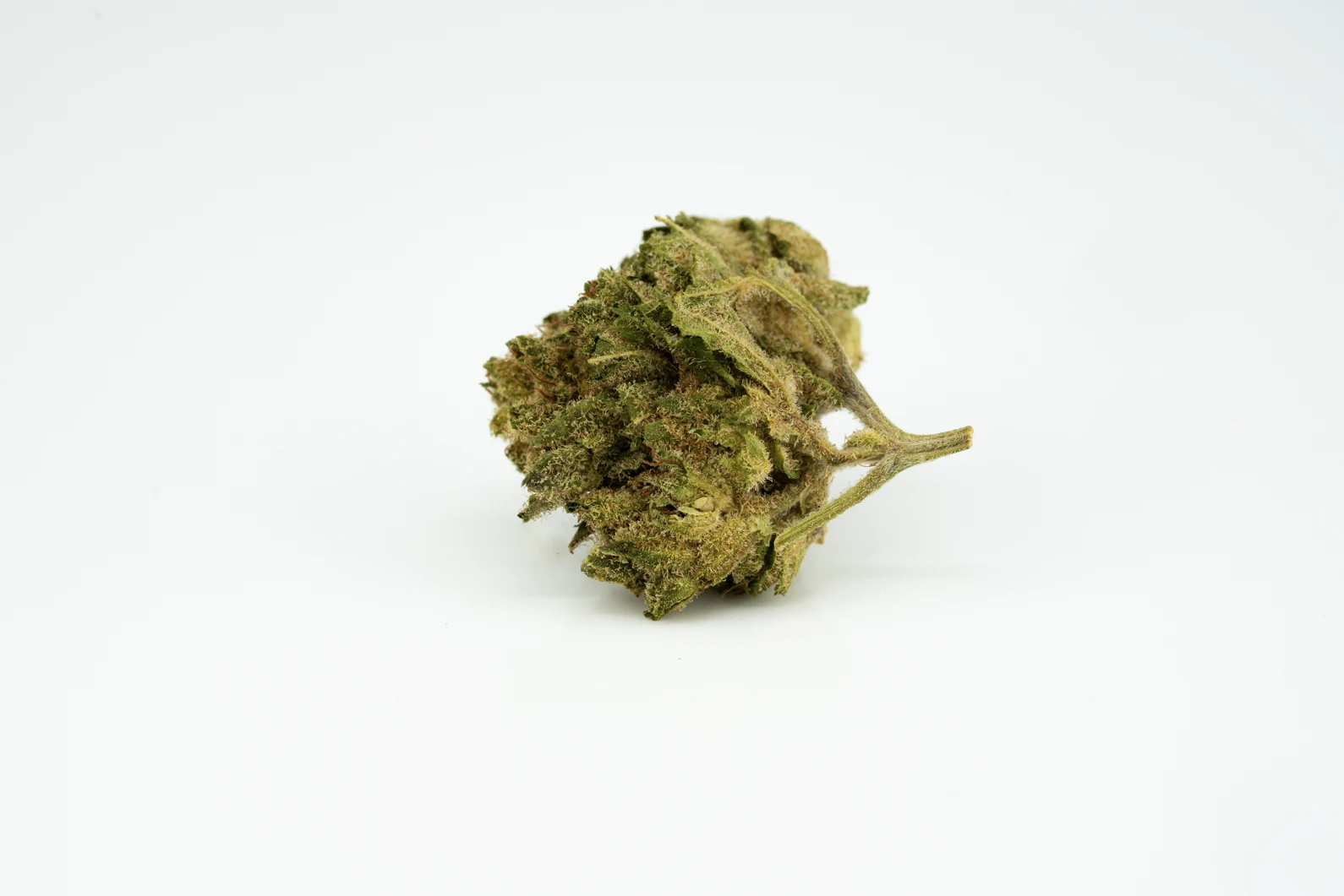 cannamedical-indica-forte-ng-ll