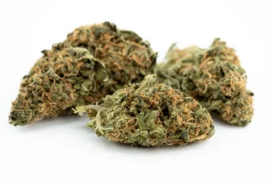 Produkte - Cannamedical Sativa forte NM