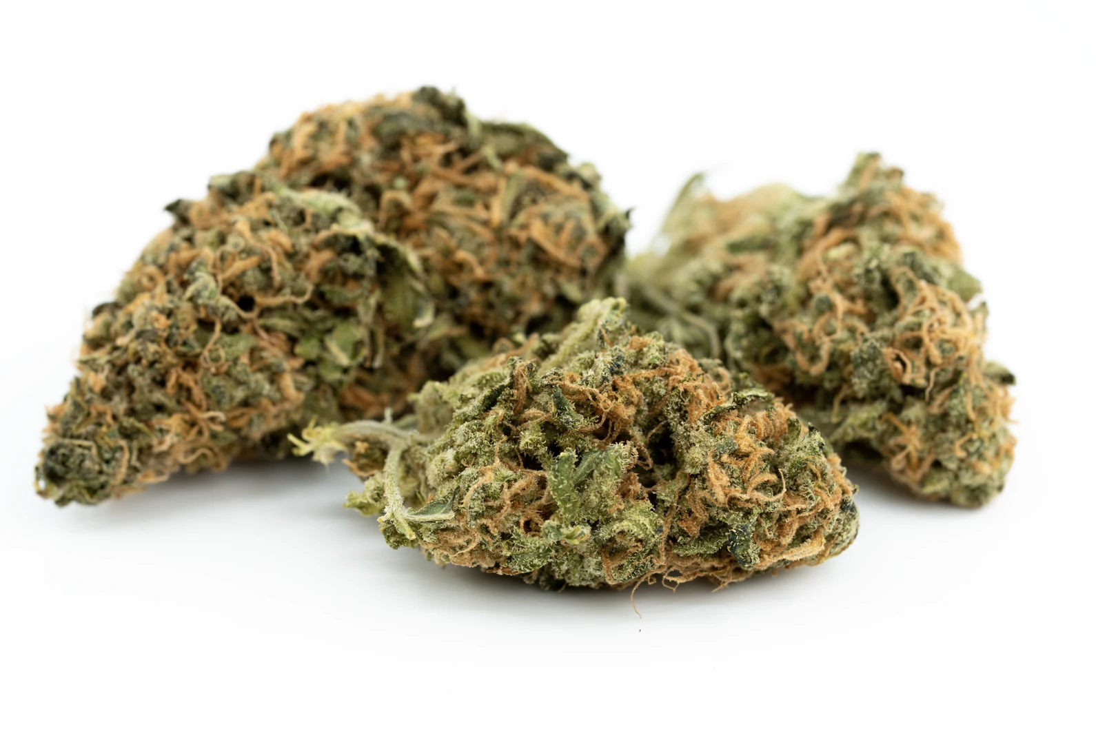 Produkte - Cannamedical Sativa forte NM