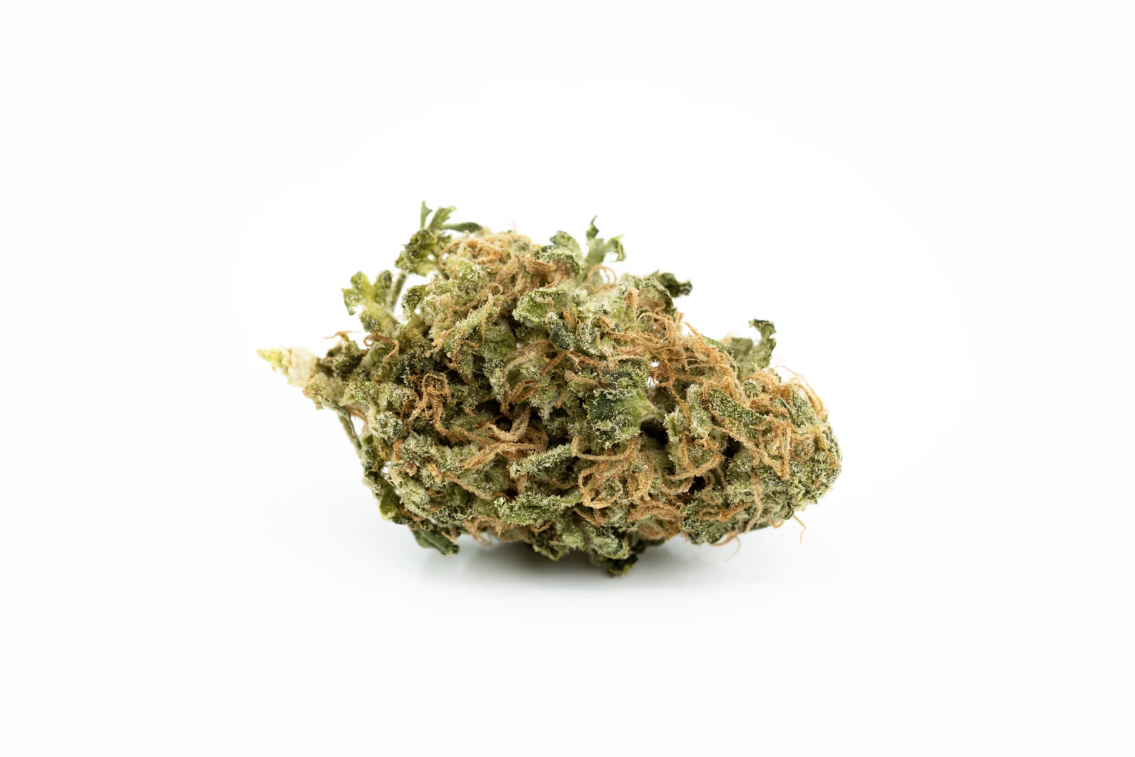 cannamedical-sativa-forte-nm