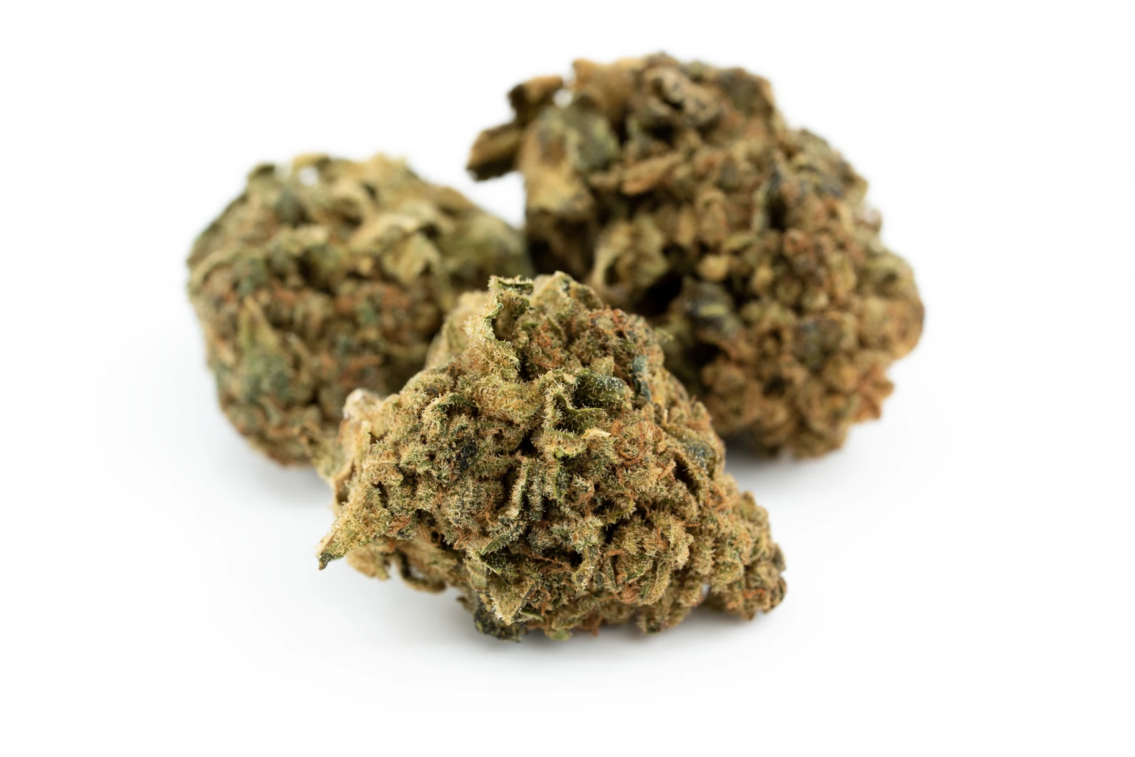canopy-gdb-12-masse