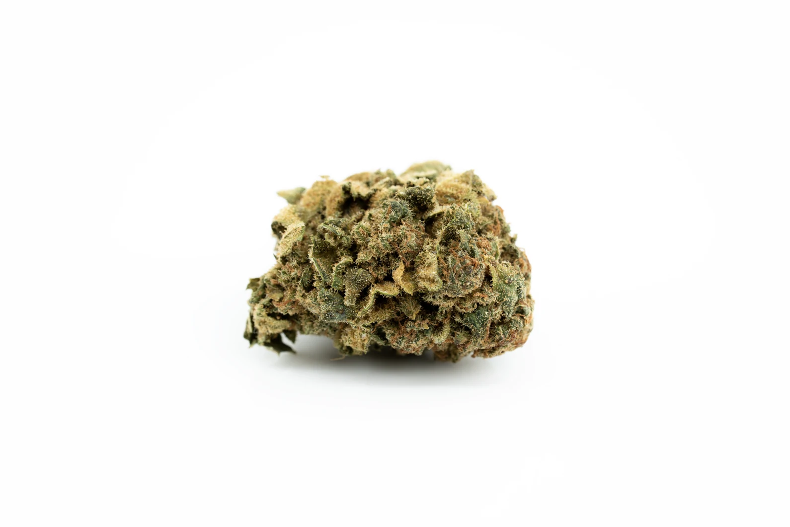 Produkte - Canopy GDB 12
