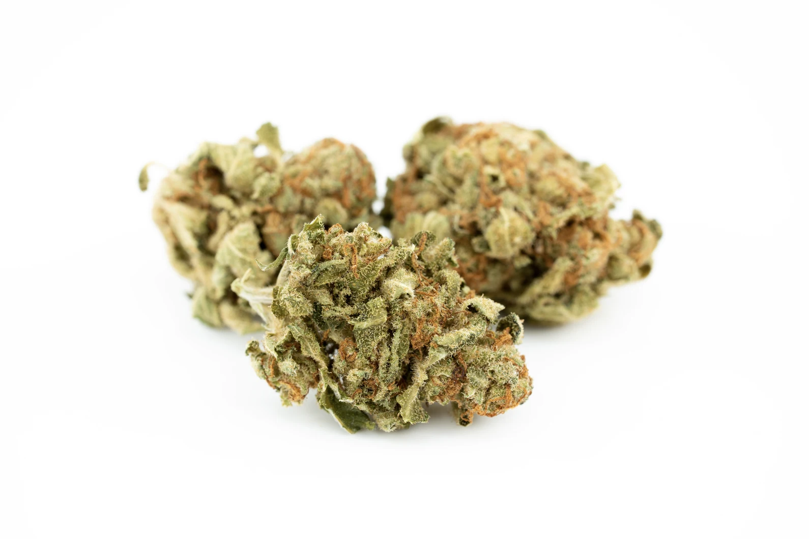 canopy-hsk-8-7-masse