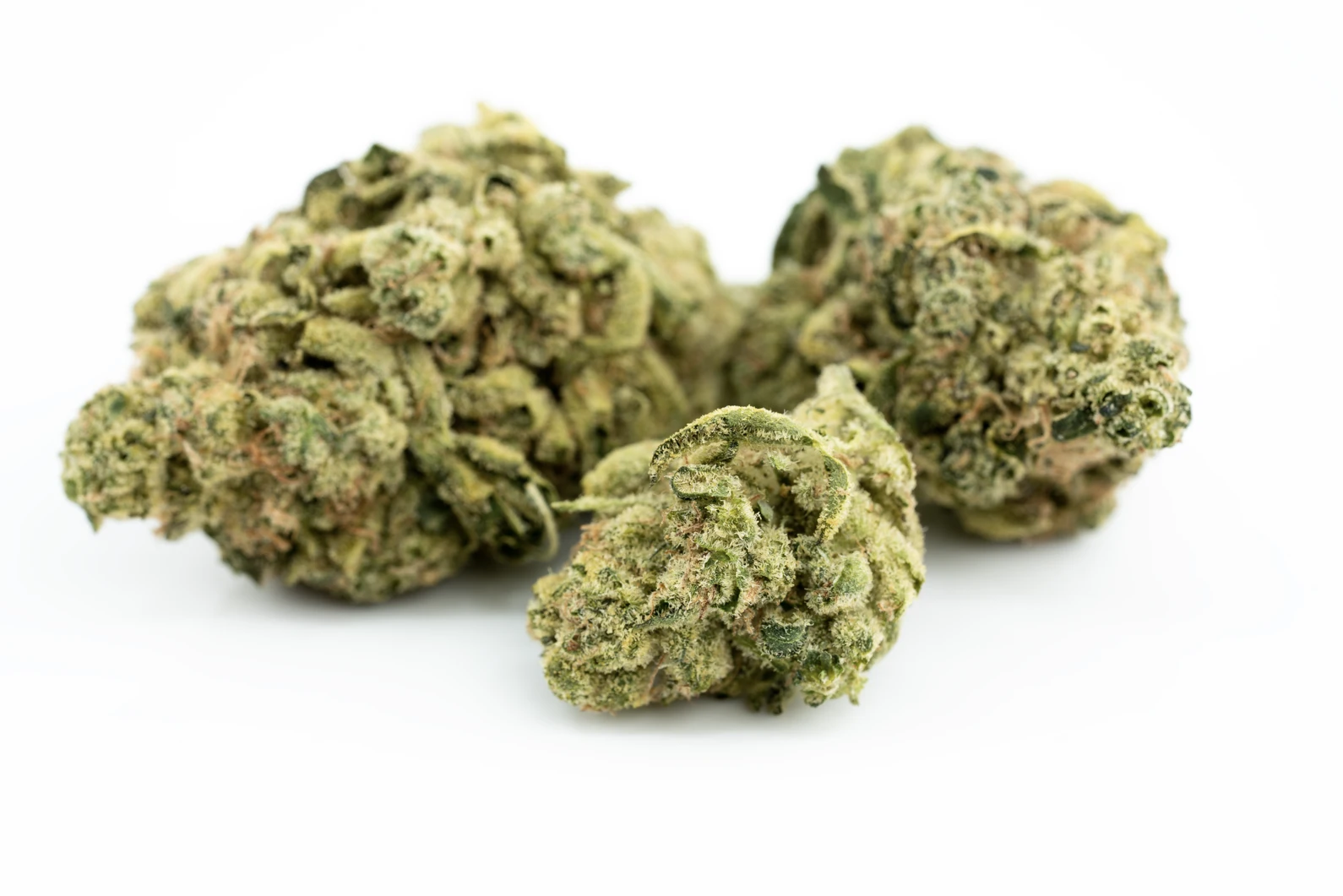 canopy-krypton-25-masse