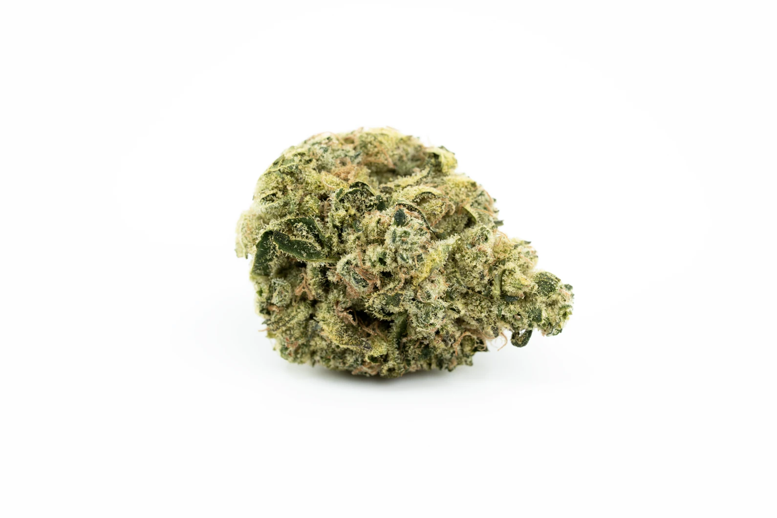 Produkte - Canopy Krypton 25