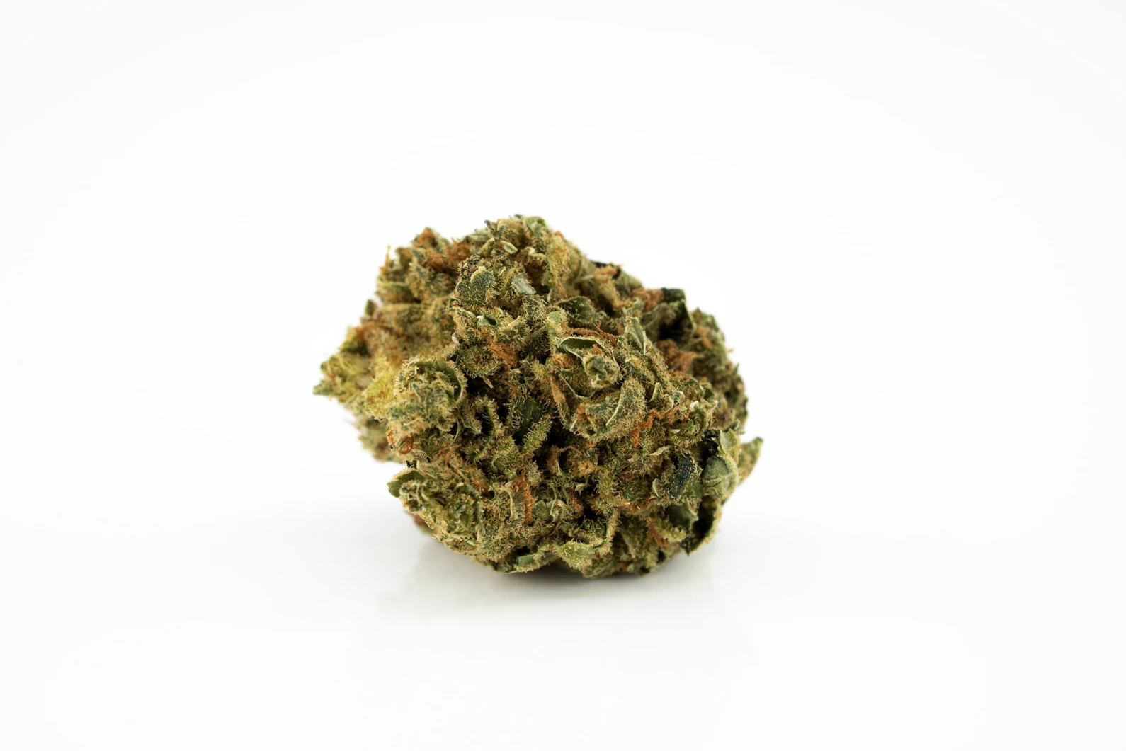 Produkte - Canopy LSK 16