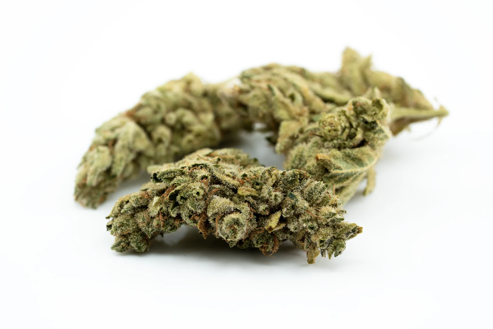 canpharma-flos-20-1-masse