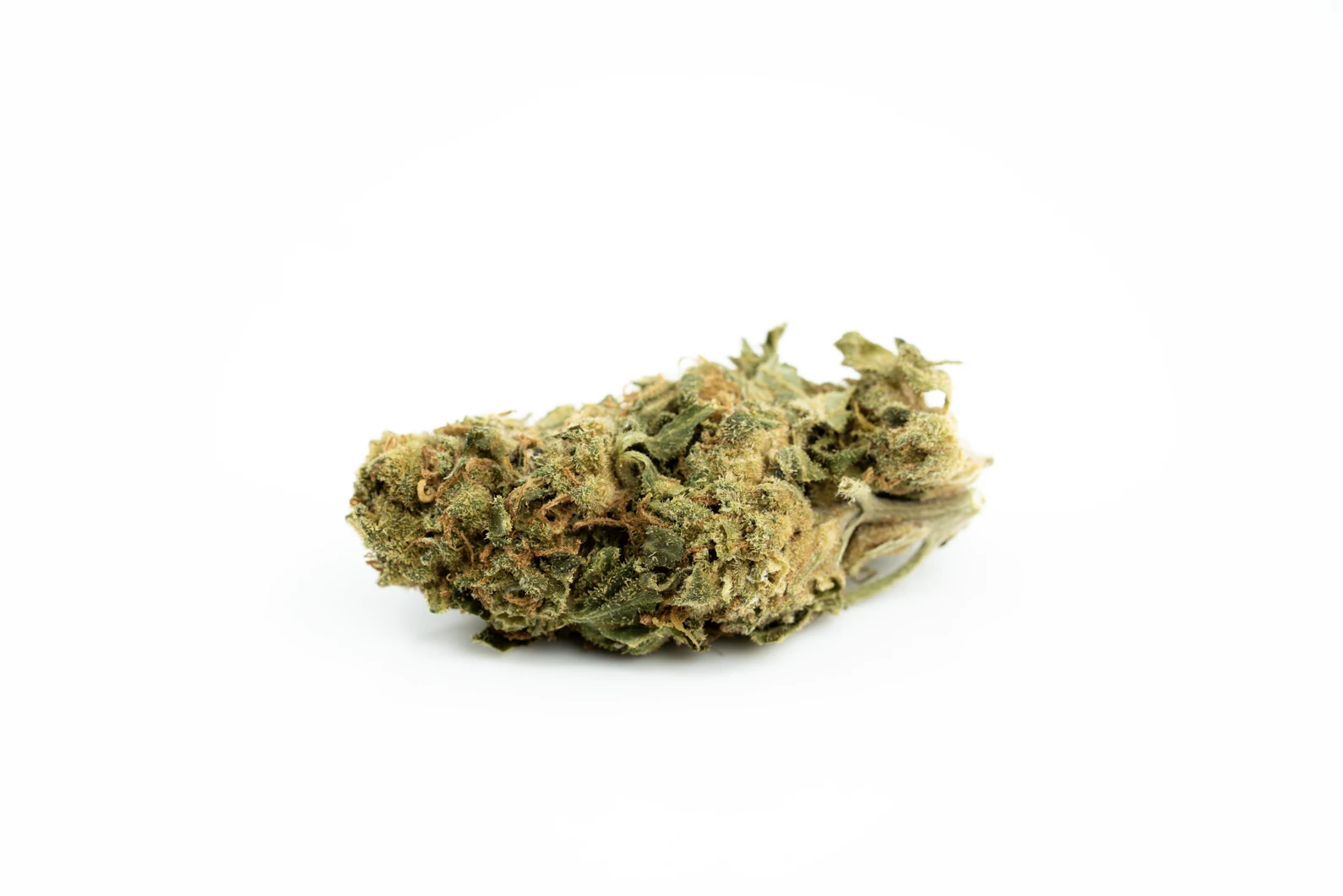canpharma-flos-20-1