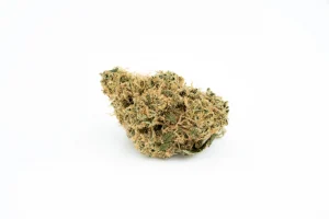 Produkte - enua 27/1 CCK CA 