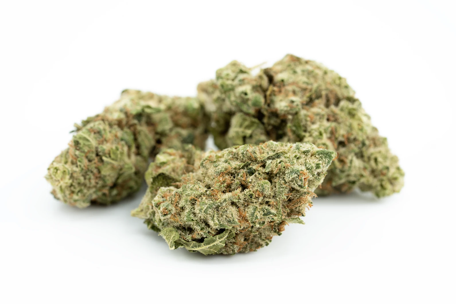imc-thc25-t03-masse