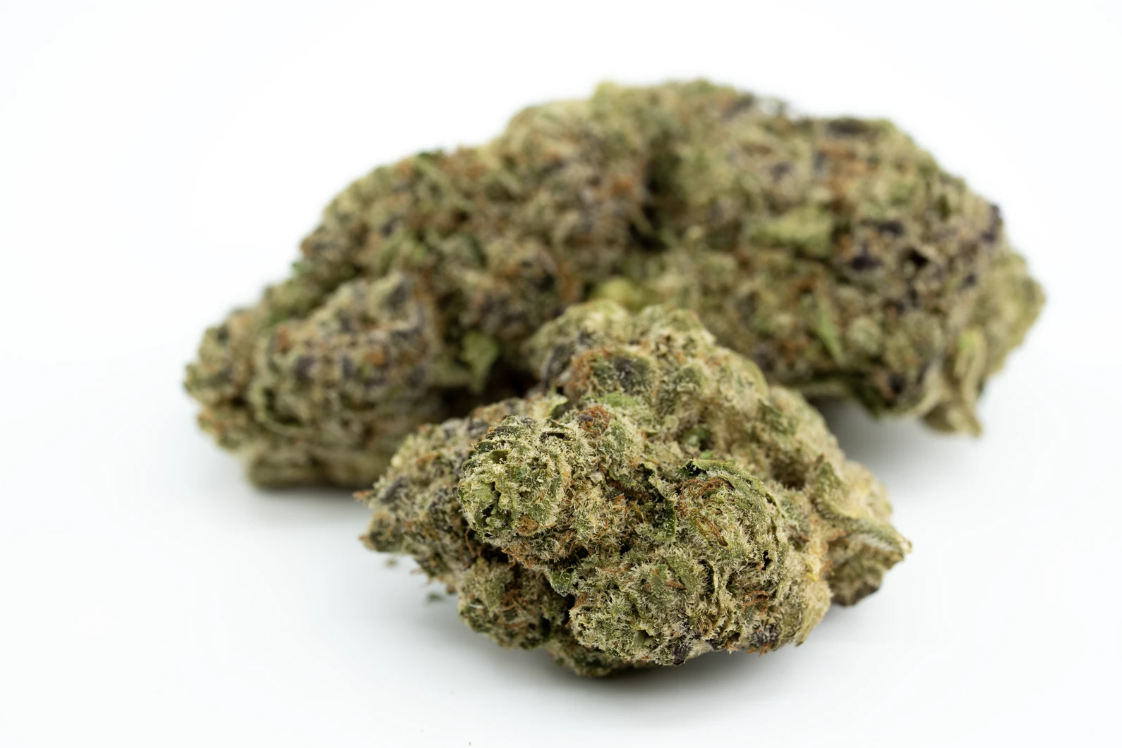 lot-420-glt-masse