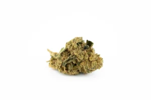 Produkte - Navcora THC22 Spotlight Montevideo
