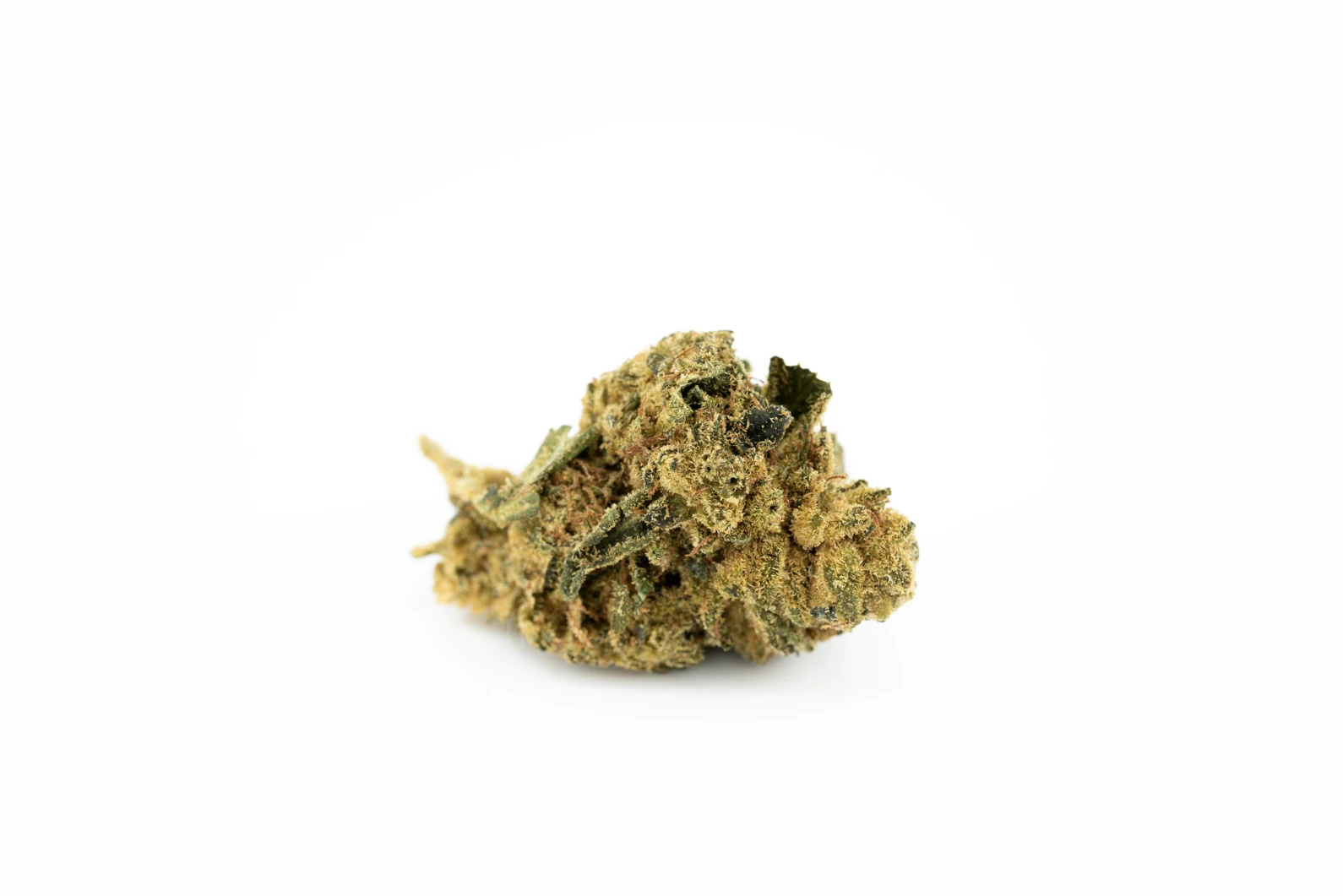 Produkte - Navcora THC22 Spotlight Montevideo