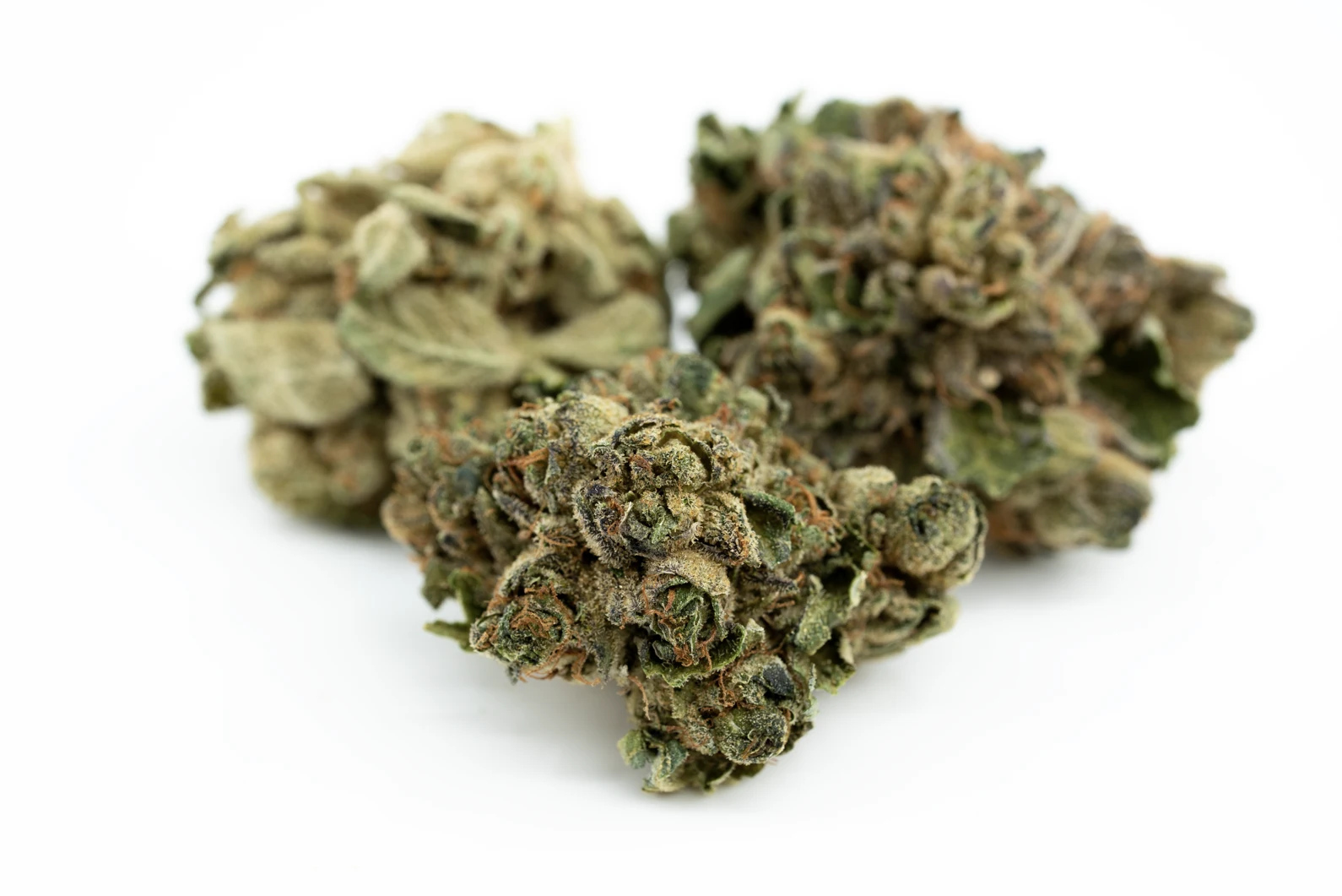 navcora-thc-22-spotlight-porto-hb-masse