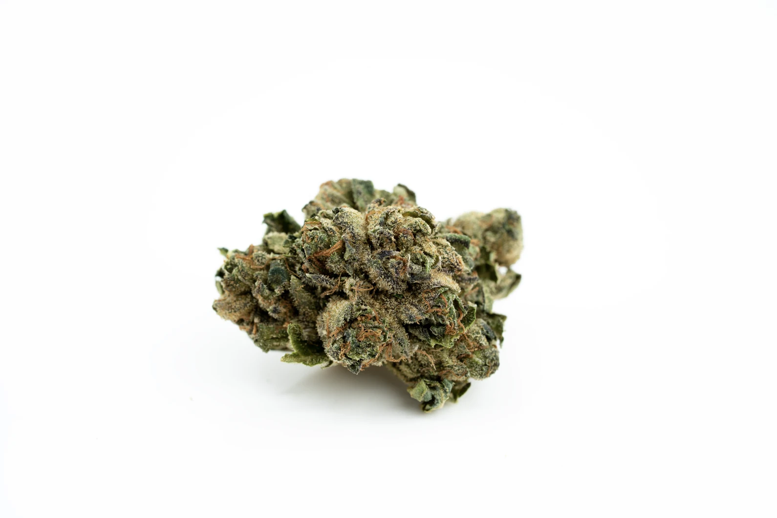 Produkte - Navcora THC22 Spotlight Porto