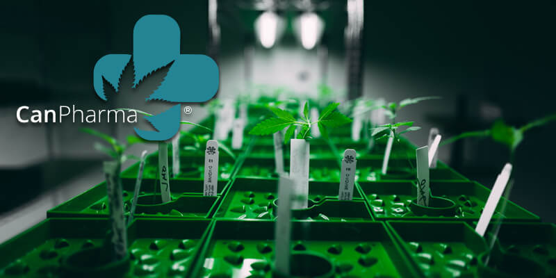 Patienten Information CanPharma Flos 20/1 (20.11.20)