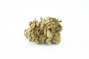 Produkte - Tilray THC22 Sativa No.2