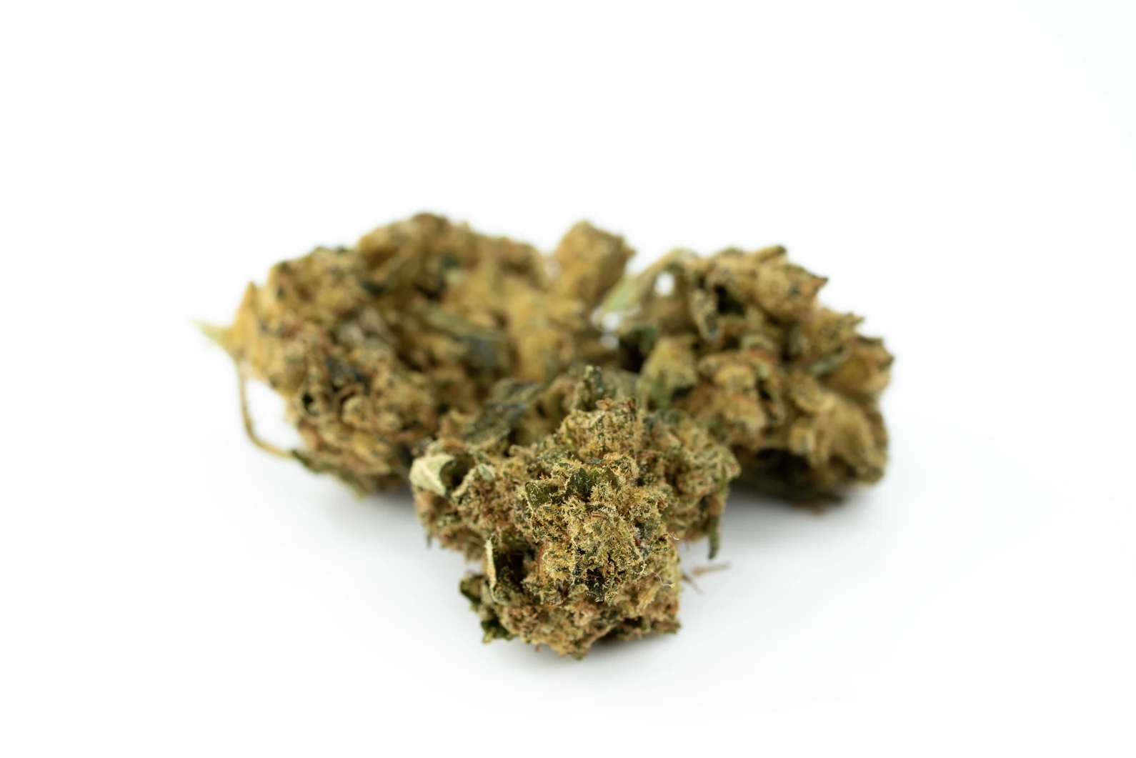 tilray-thc-22-spotlight-montevideo-gg-masse