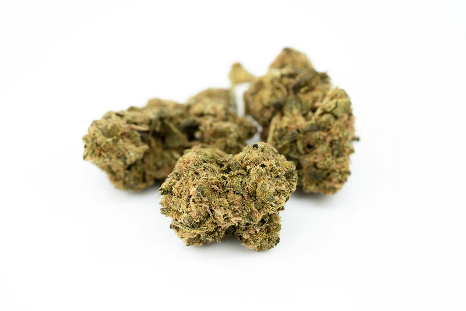tilray-thc-22-spotlight-montevideo-pdb-masse