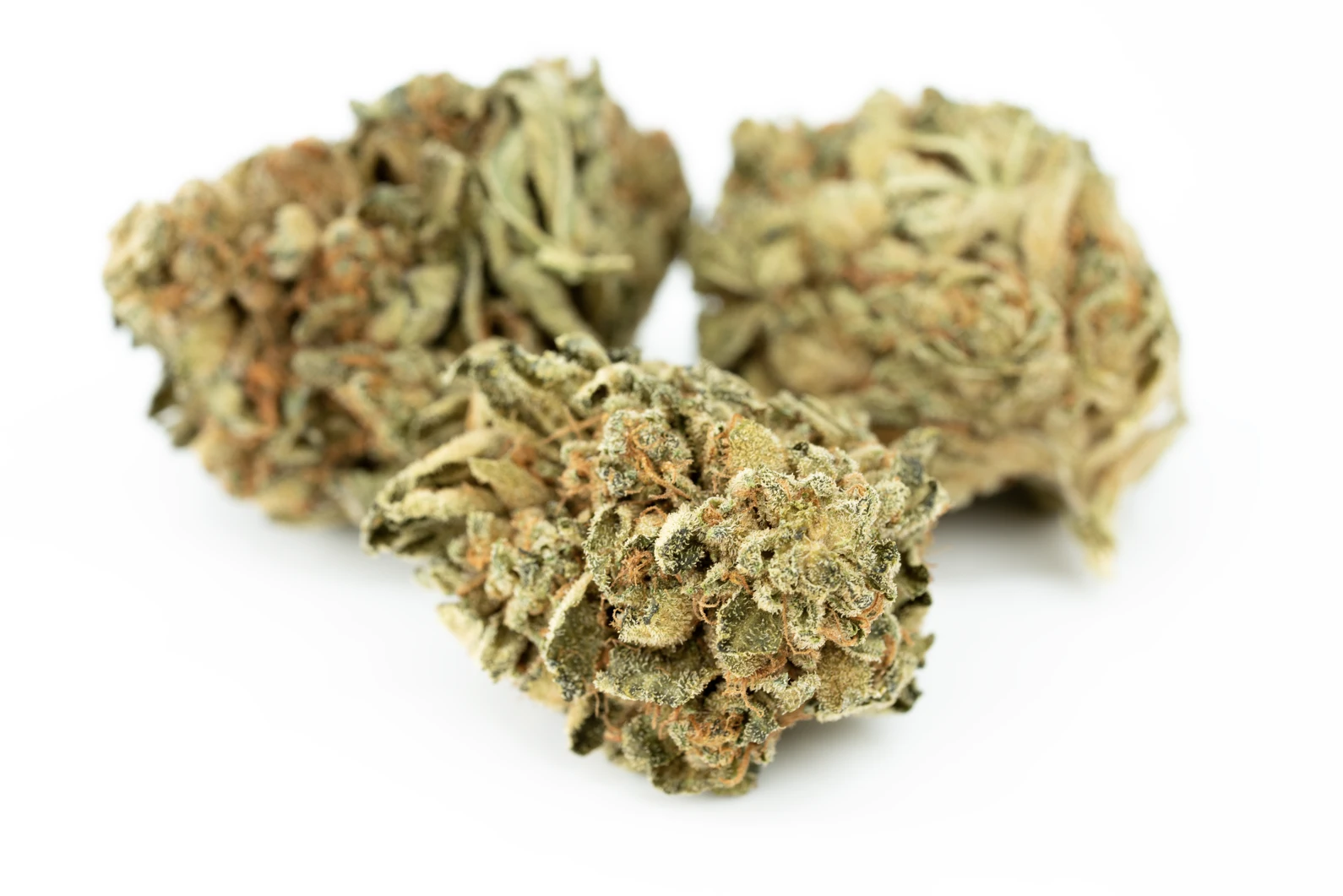 tilray-thc-22-spotlight-porto-gw-masse